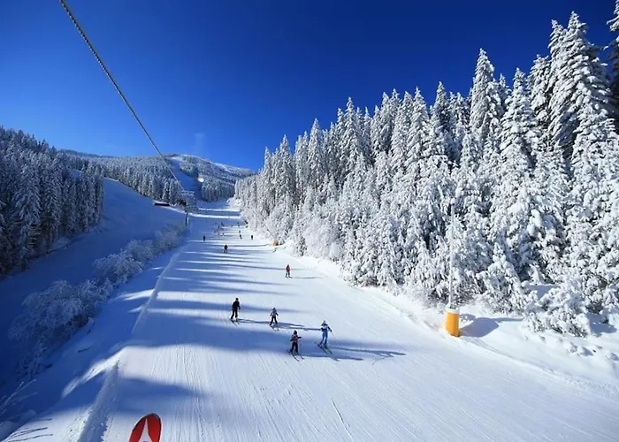 Apartament Alpin Penthouse 2 Bedroom With Fireplace And Mountain View