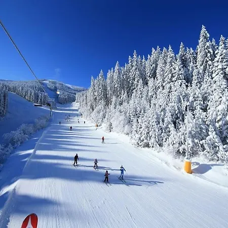 Daire Alpin Penthouse 2 Bedroom With Fireplace And Mountain View
